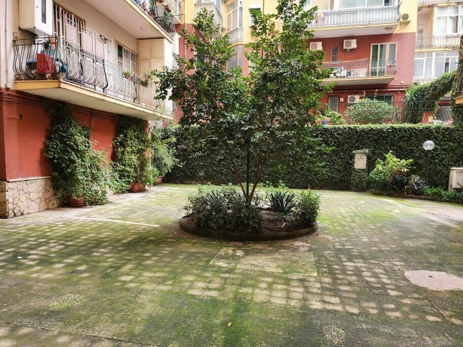 Rdhomes Falvo, Vomero * Naples